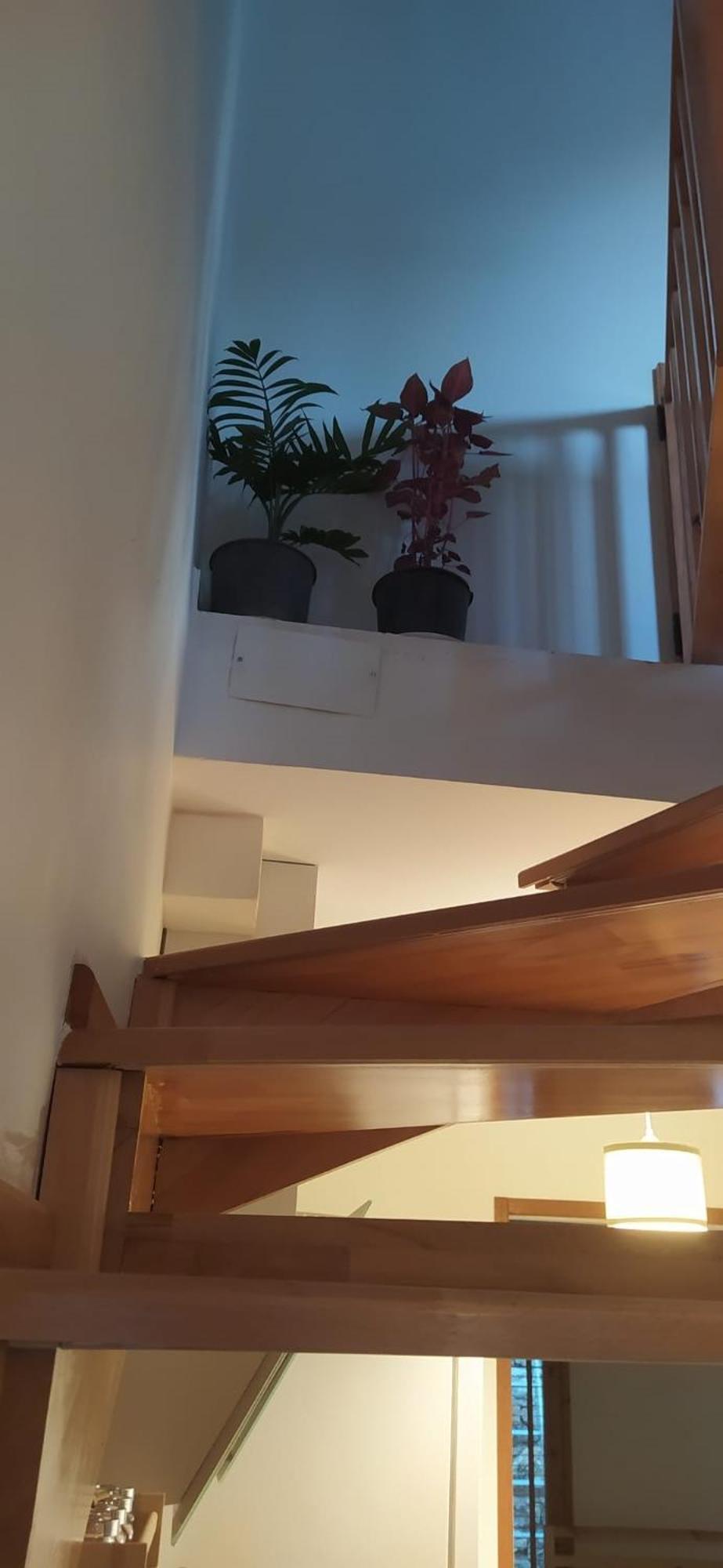 Chimera Pia Aparts Çıralı 외부 사진